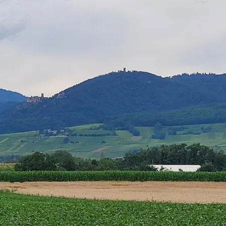 Le Nid Douillet De Daire