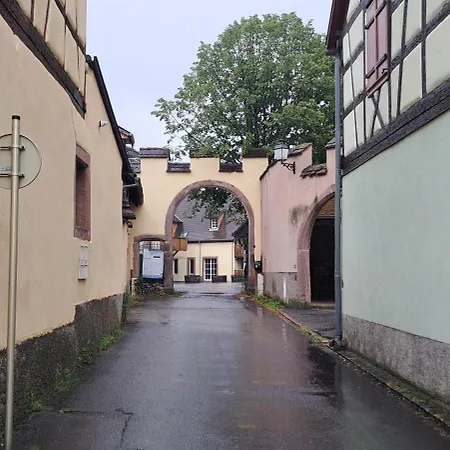 Le Nid Douillet - Parking, Borne Ve Et Fibre Apartament Bergheim