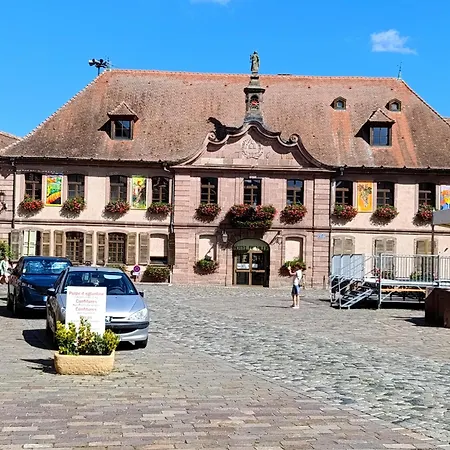 Le Nid Douillet - Parking, Borne Ve Et Fibre Bergheim