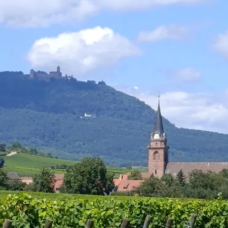 Daire Le Nid Douillet De