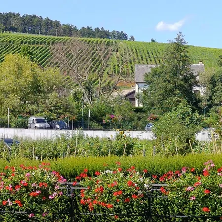 Daire Le Nid Douillet De *