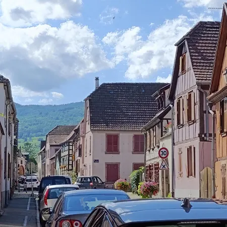 Apartament Le Nid Douillet - Parking, Borne Ve Et Fibre Bergheim