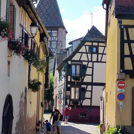 Le Nid Douillet - Parking, Borne Ve Et Fibre * Bergheim