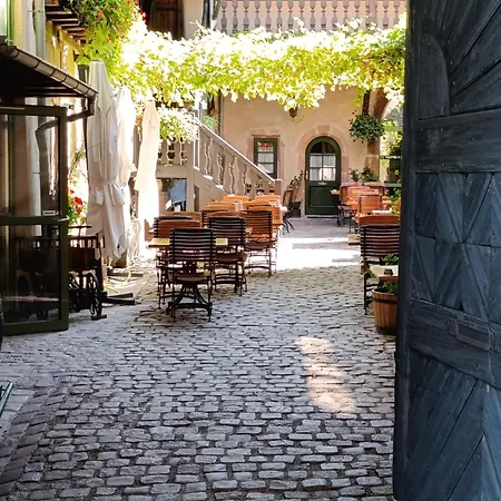 Le Nid Douillet De Bergheim