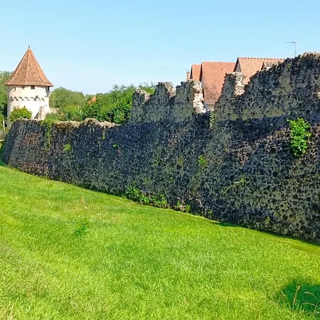 Le Nid Douillet - Parking, Borne Ve Et Fibre Apartament